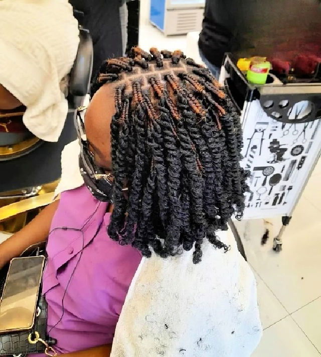 afro twisted braids hairstyle