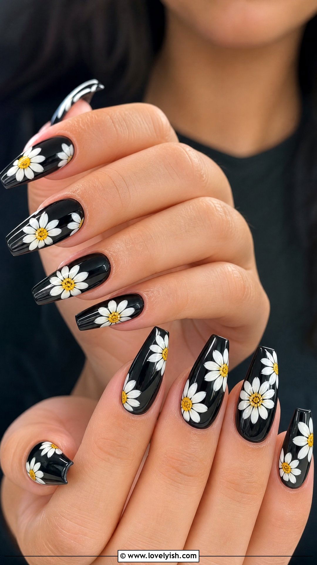 Black Base Daisy Nails - 50 daisy nails - 50 daisy nails