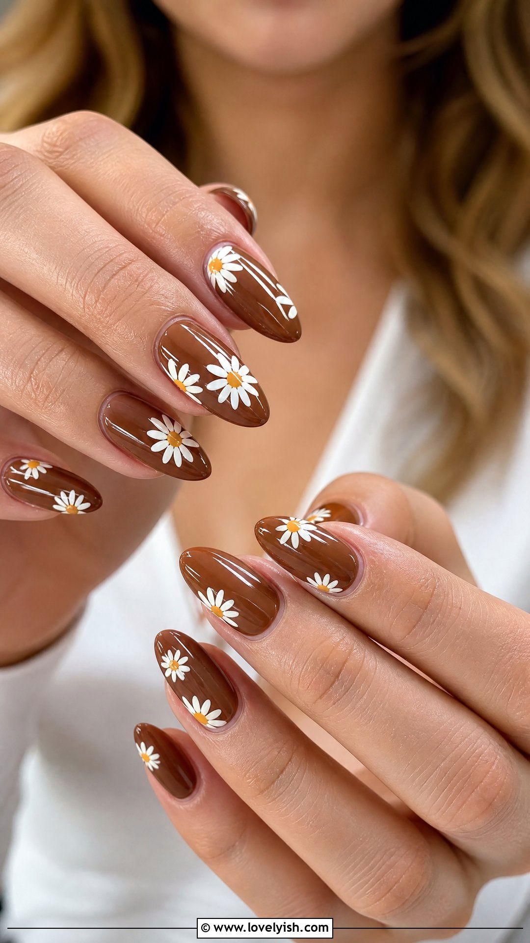 Coffee Brown Daisy Nails - 50 daisy nails - 50 daisy nails