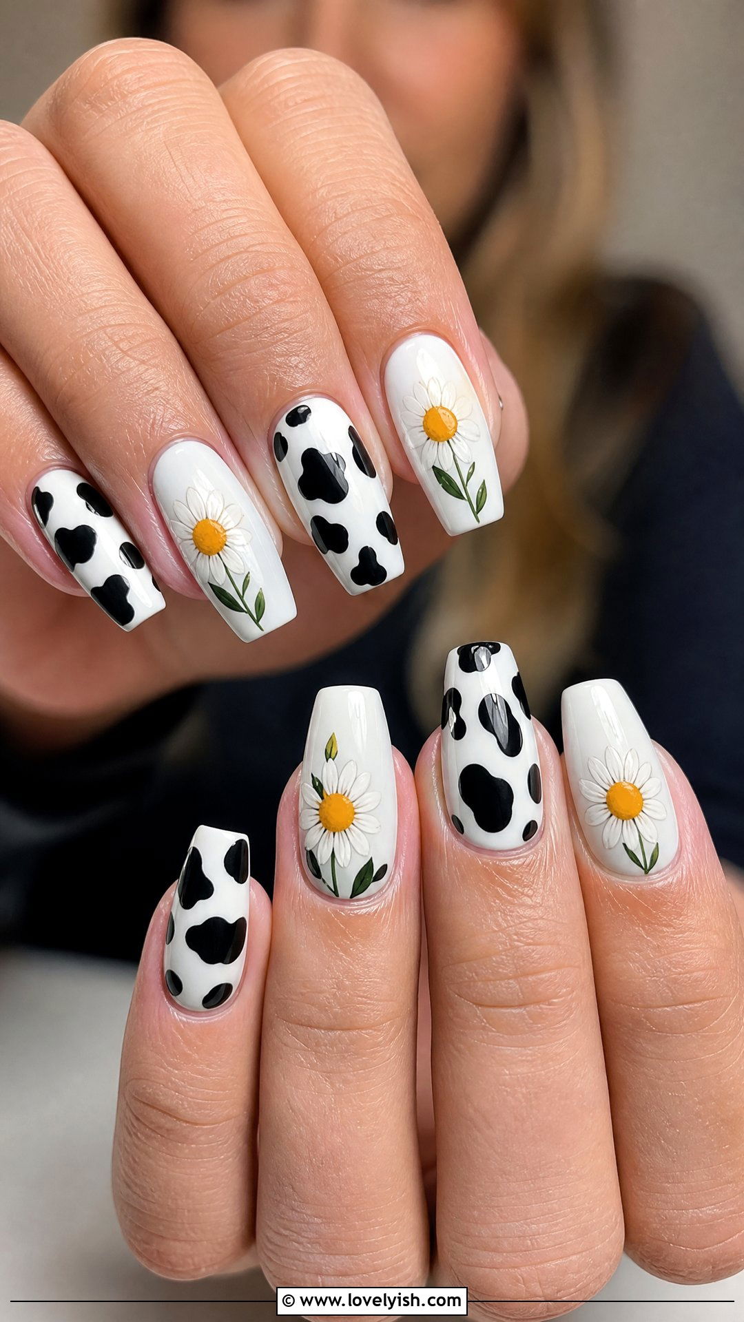 Cow Print Daisy Nails - 50 daisy nails - 50 daisy nails