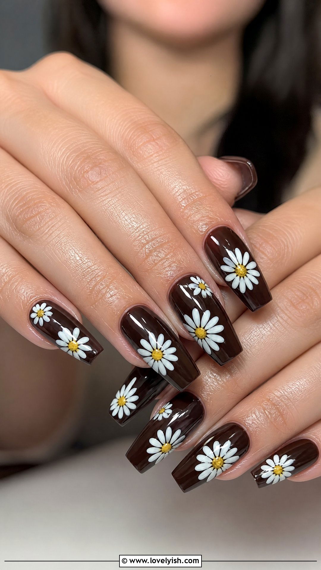 Daisy on Espresso Brown Nails - 50 daisy nails - 50 daisy nails