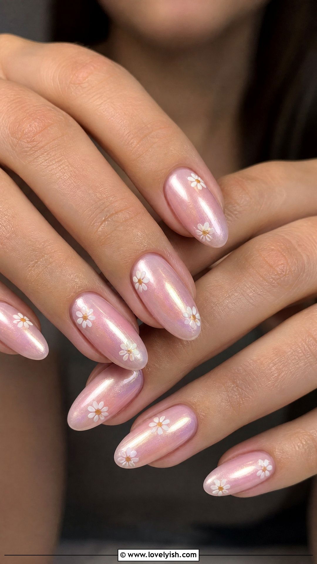 Glazed Donut Daisy Nails - 50 daisy nails - 50 daisy nails