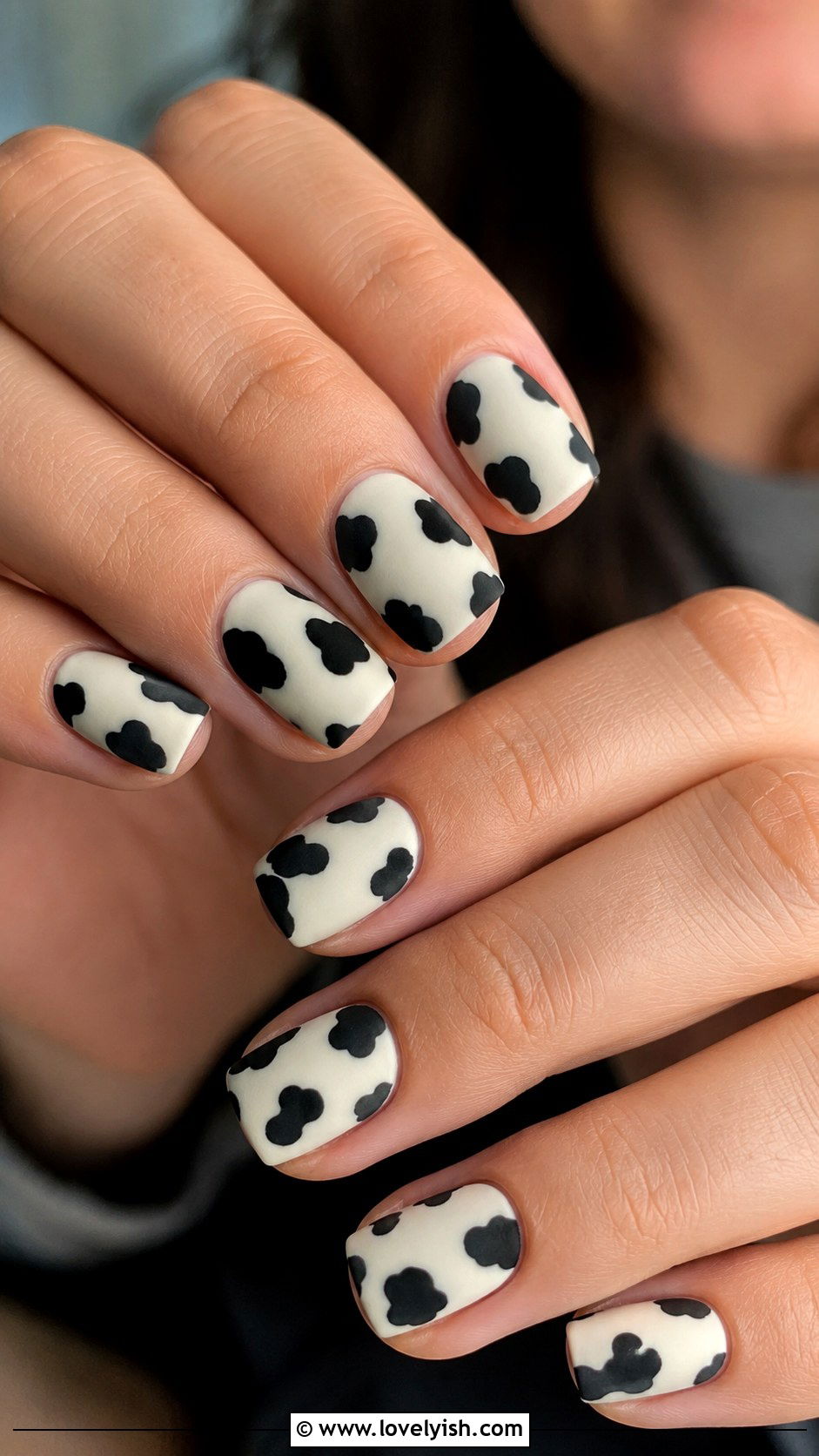 Matte Cow Print Nails - 50 matte nails - 50 matte nails
