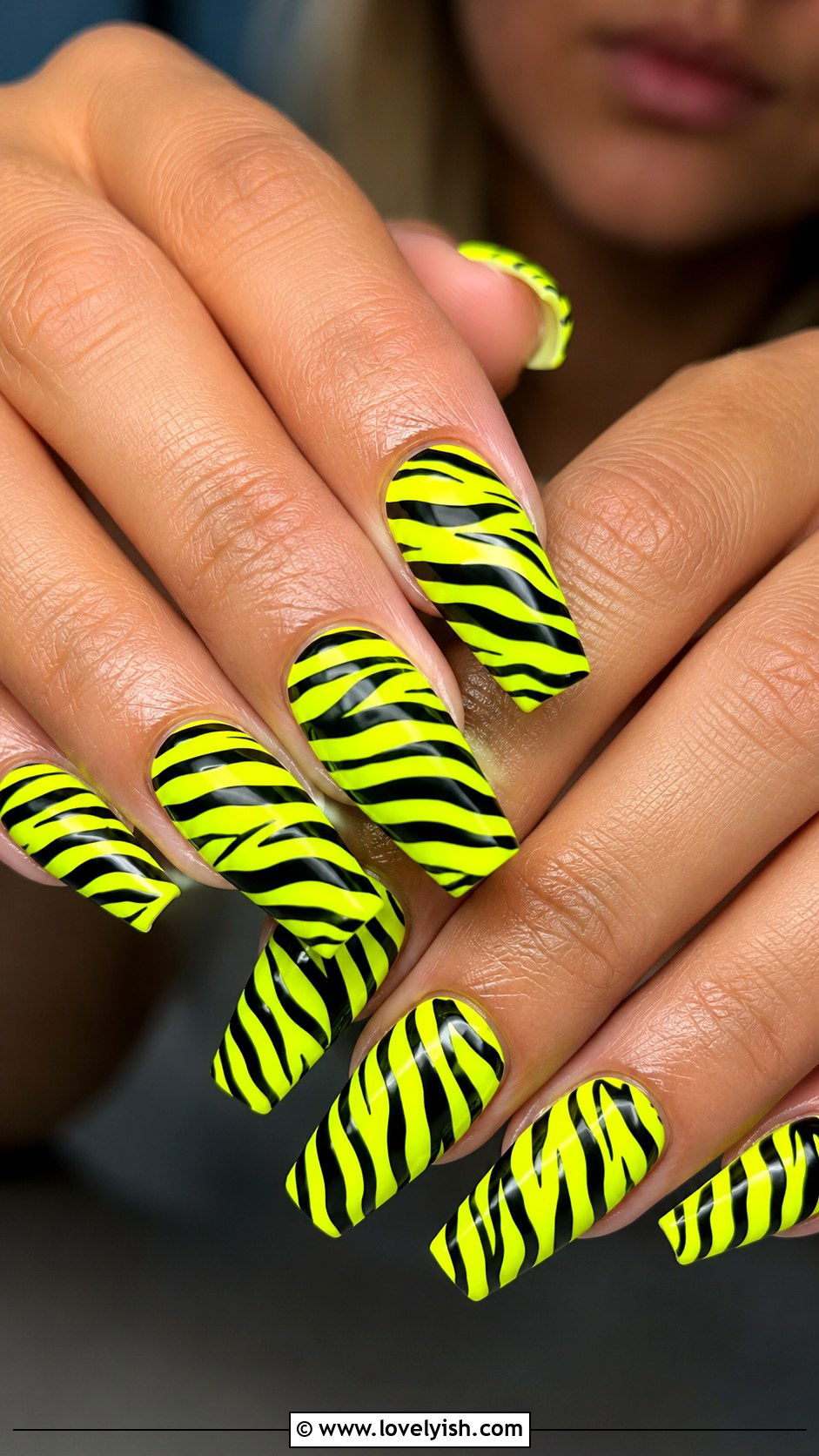 Neon Zebra Print Nails - 50 zebra print nails - 50 zebra print nails