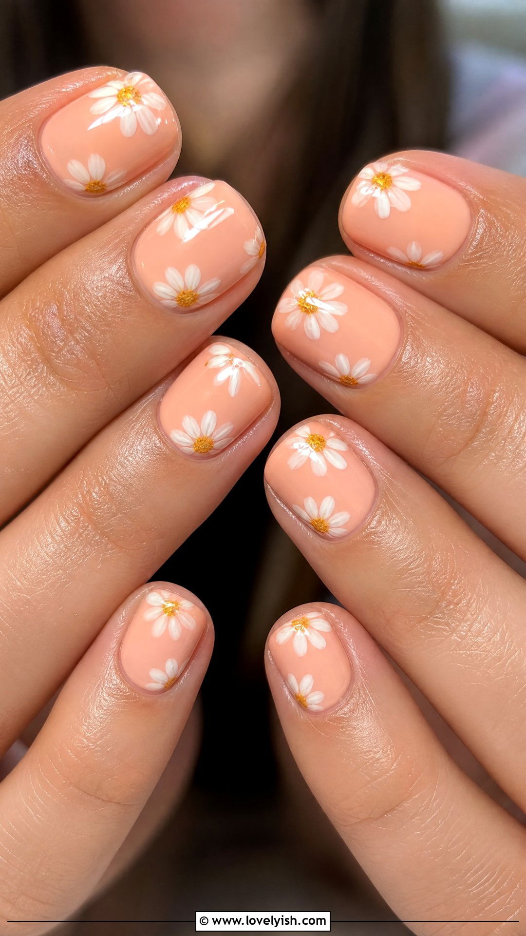 Peach Daisy Nails - 50 daisy nails - 50 daisy nails