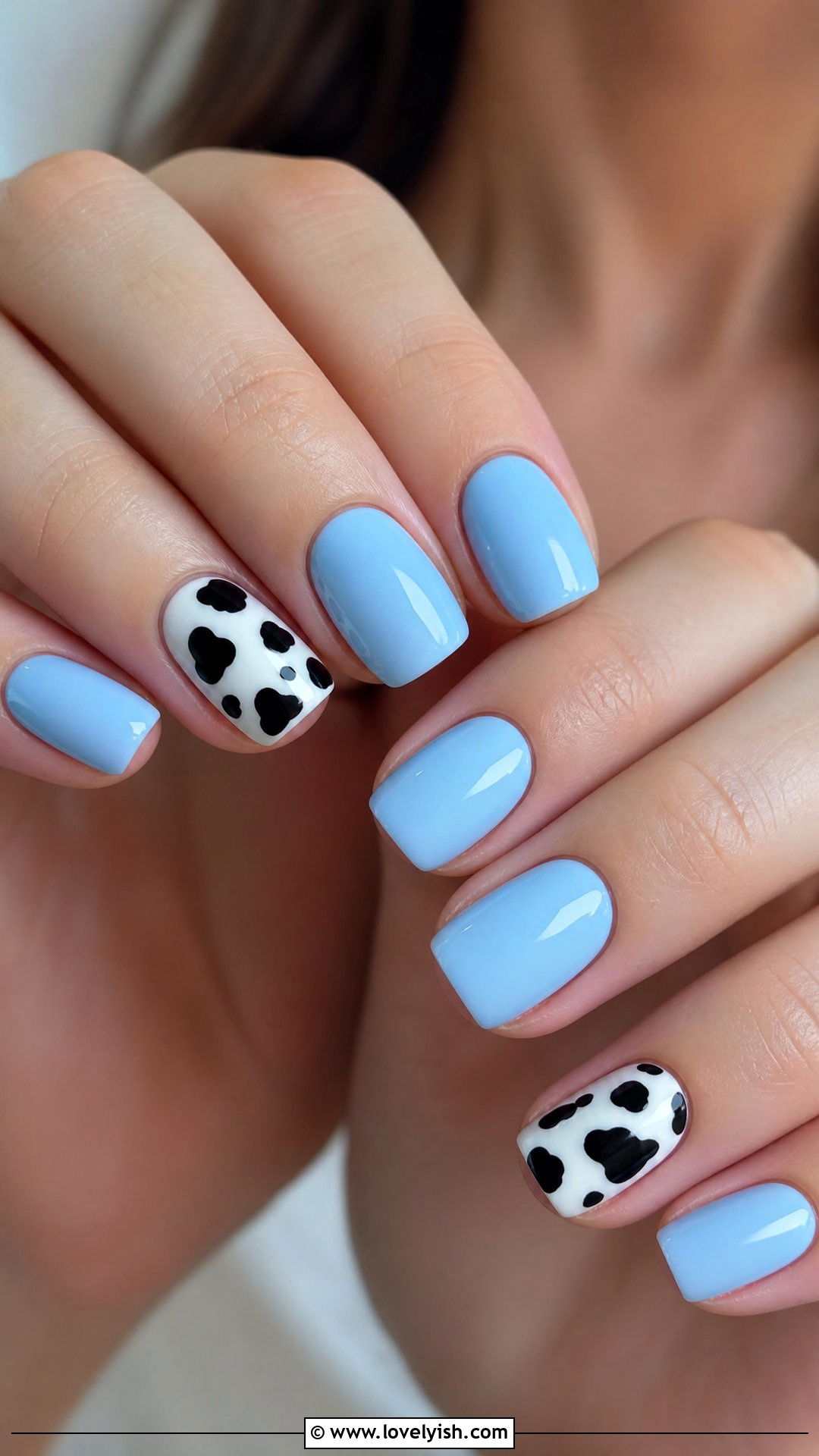 Powder Blue Cow Print Nails - 50 cute nails - 50 cute nails