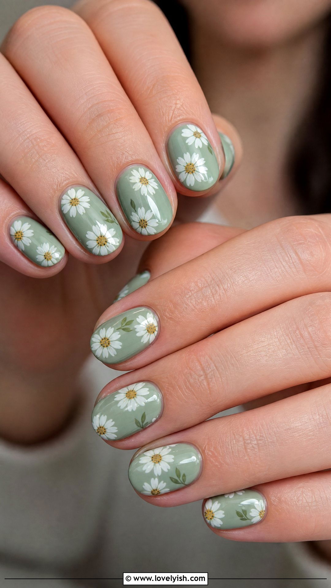 Sage Green Daisy Nails - 50 daisy nails - 50 daisy nails