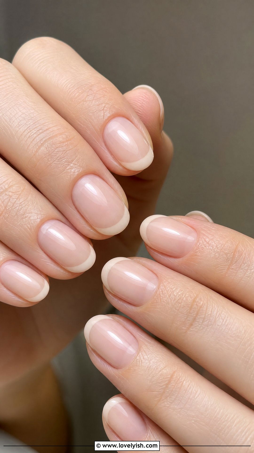 Sheer Nude French Tip Short Nails - 50 short french tip nails - 50 short french tip nails