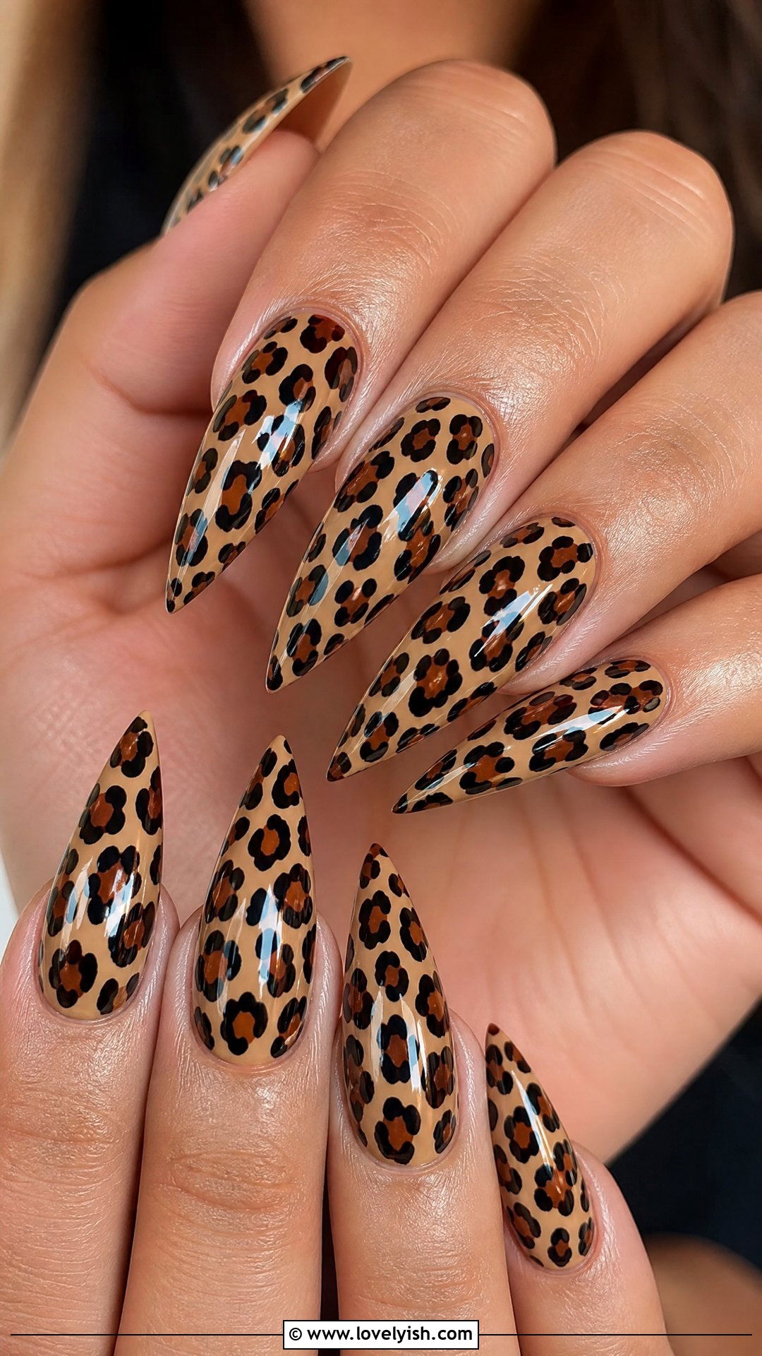 Stiletto Leopard Print Nails - 50 leopard print nails - 50 leopard print nails