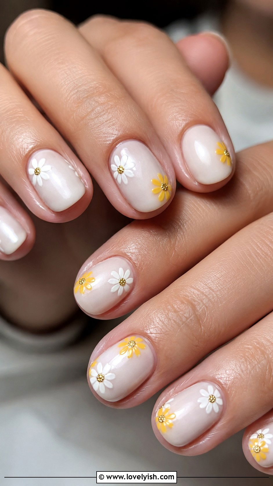 White Nails With Daisy Art - 50 white nails - 50 white nails