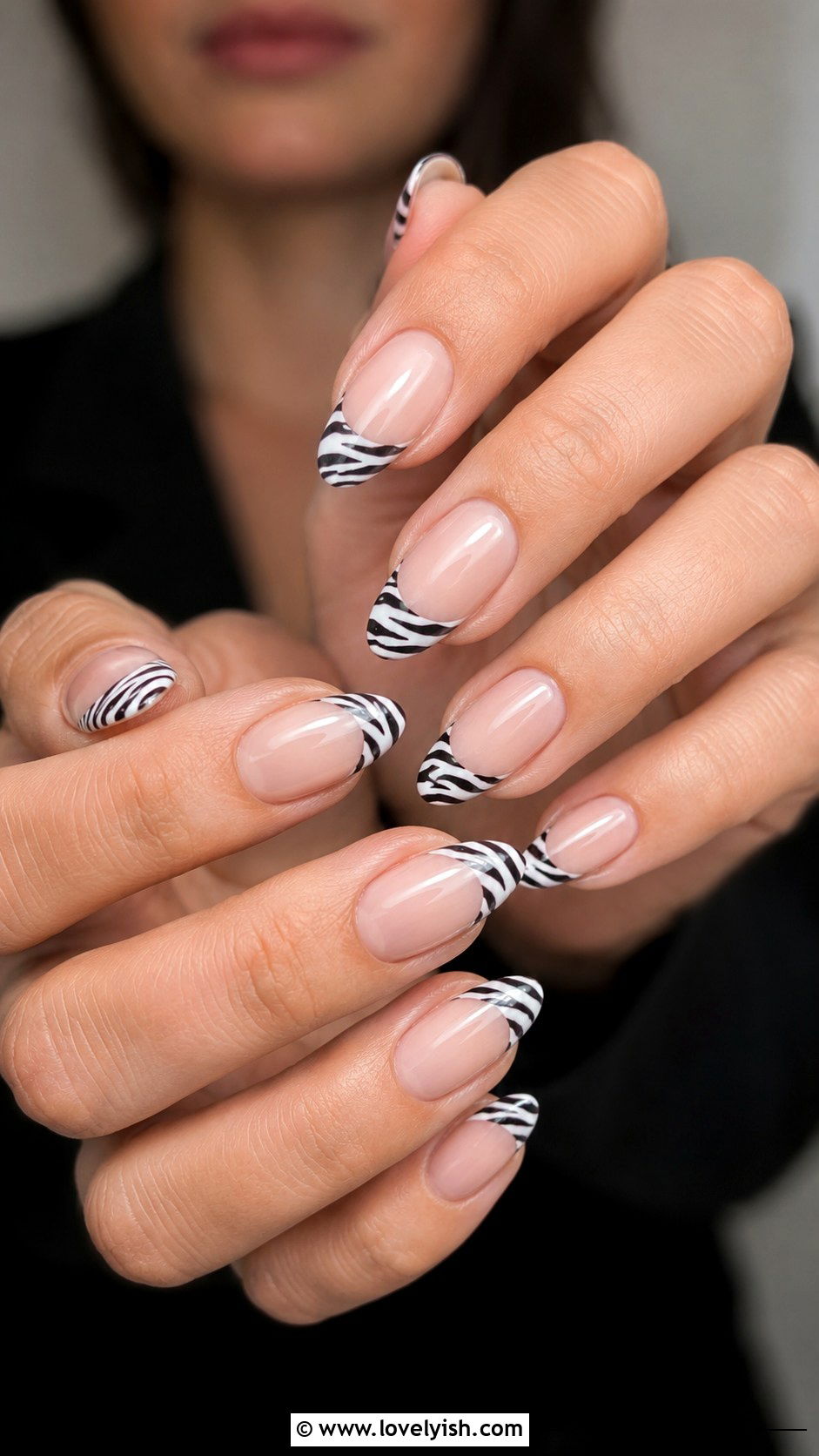 Zebra Print French Tip Nails - 50 zebra print nails - 50 zebra print nails