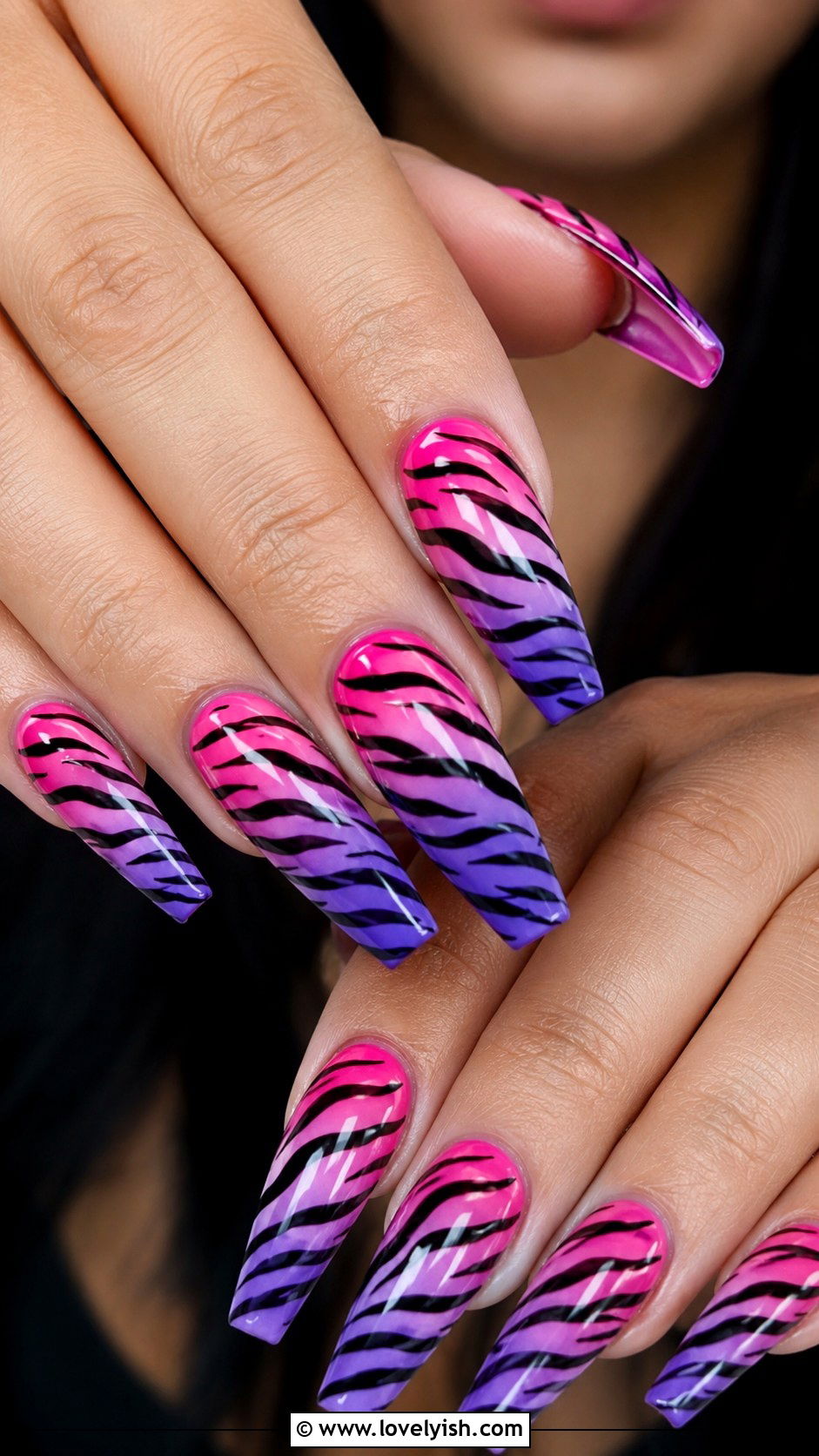 Zebra Print Nails with Gradient Color - 50 zebra print nails - 50 zebra print nails
