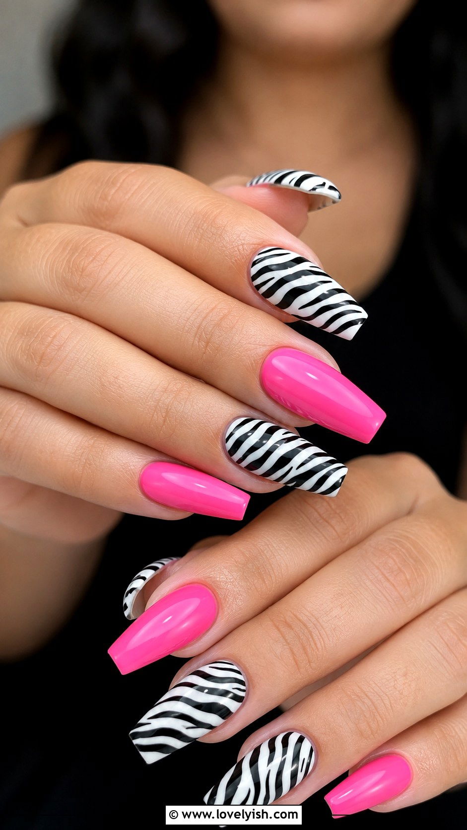 Zebra Print and Solid Color Mixed Set - 50 zebra print nails - 50 zebra print nails
